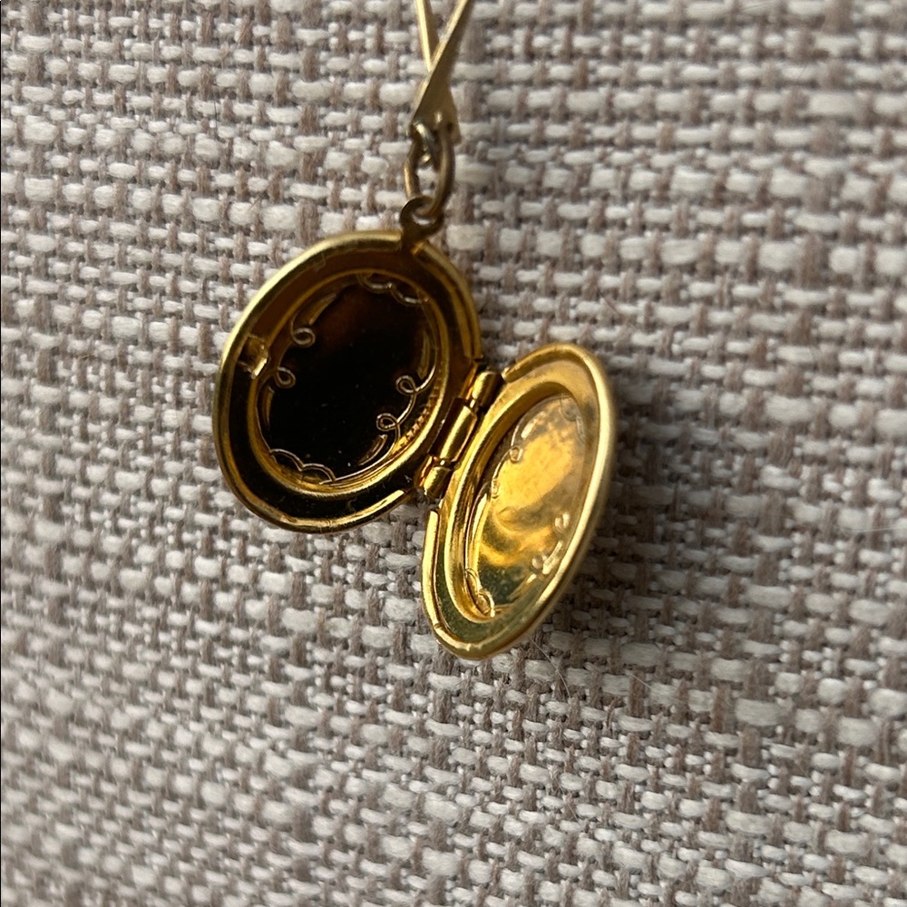 Vintage Gold Floral Portrait Locket Necklace with Pink Rose - Picture 6 of 9